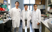 (From left) Dr. Jiang Yun LUO, Professor Yu HUANG and Dr. Li WANG received the First-class award in Natural Sciences